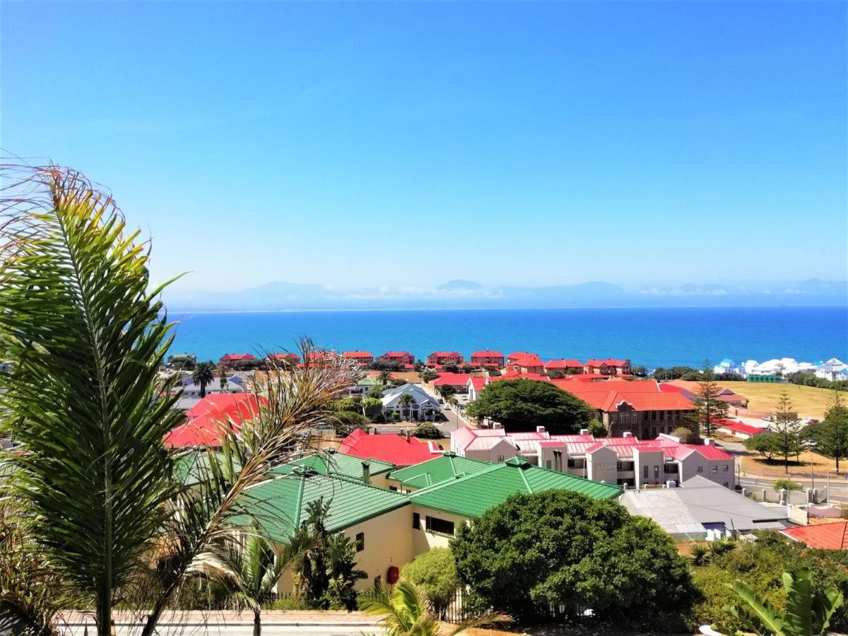 4 On Montagu Accommodation 莫塞尔湾 外观 照片