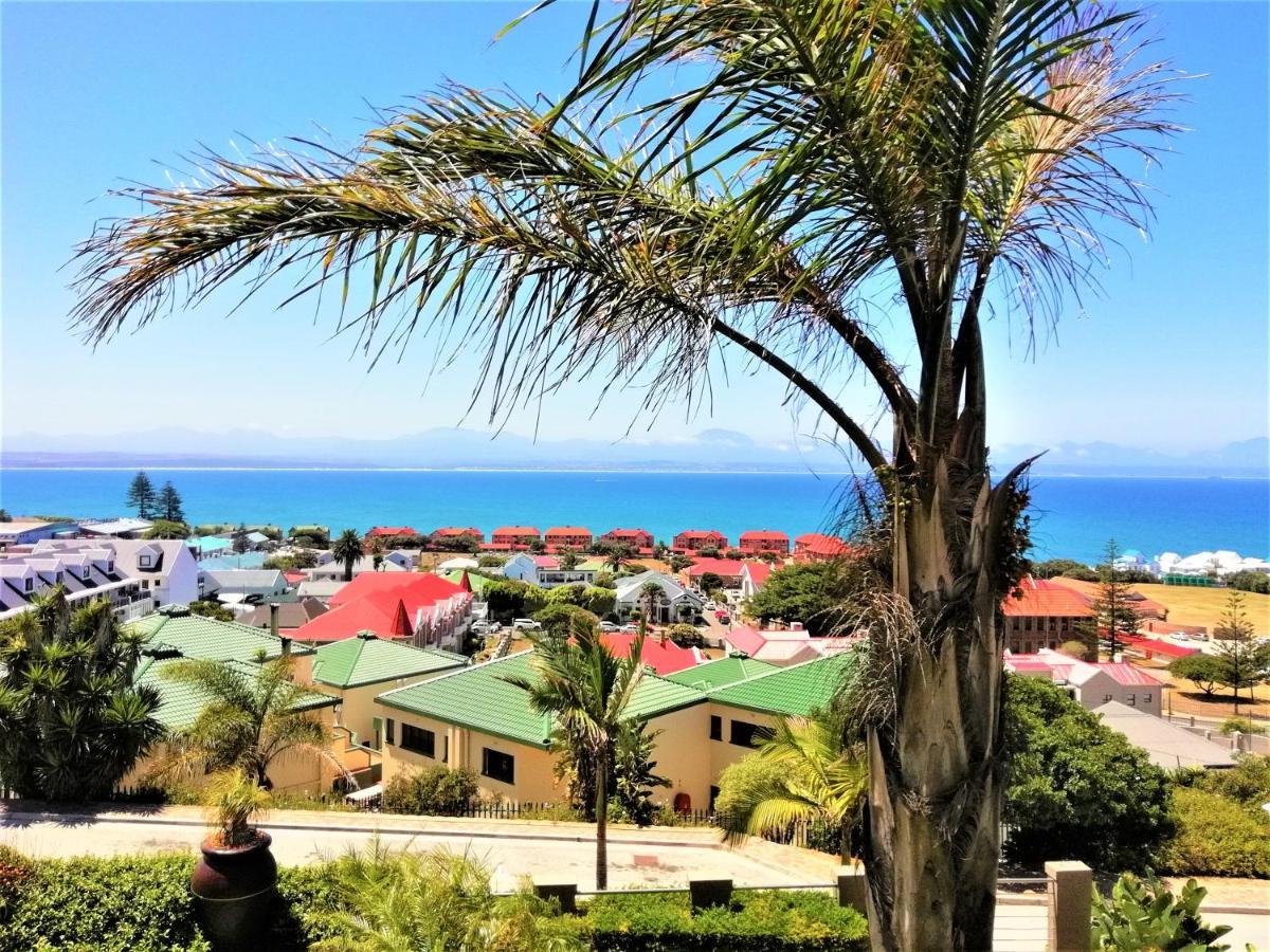 4 On Montagu Accommodation 莫塞尔湾 外观 照片